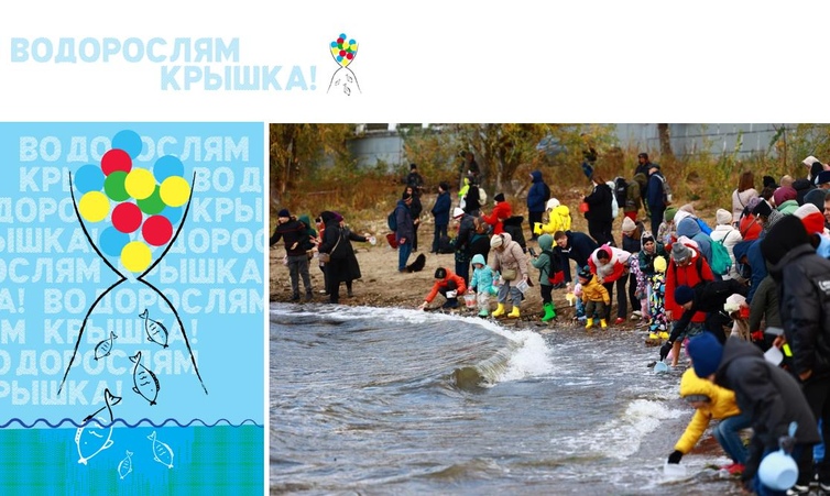 О проекте Водорослям крышка. Самара