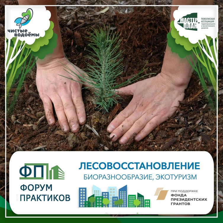 Отчёт о работе площадки «Система сохранения лесов в Самарской области»