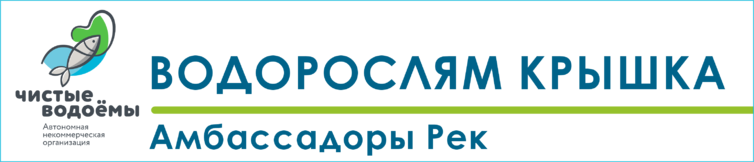 Отчеты о мероприятиях