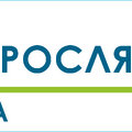 Проекты
